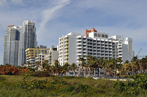 cruise14 (11)